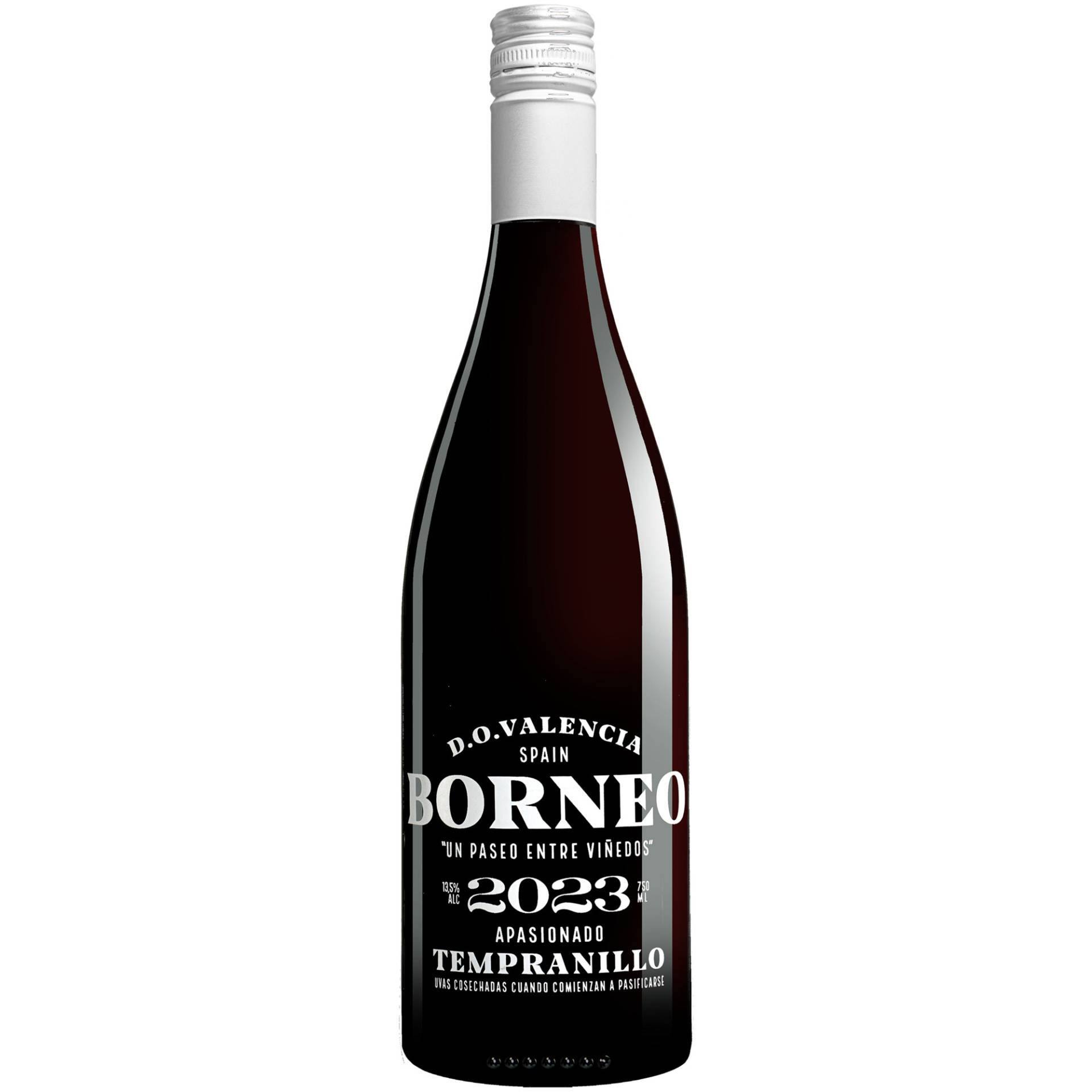 Borneo Apasionado 2023  0.75L 13.5% Vol. Rotwein Halbtrocken aus Spanien von Hammeken Cellars