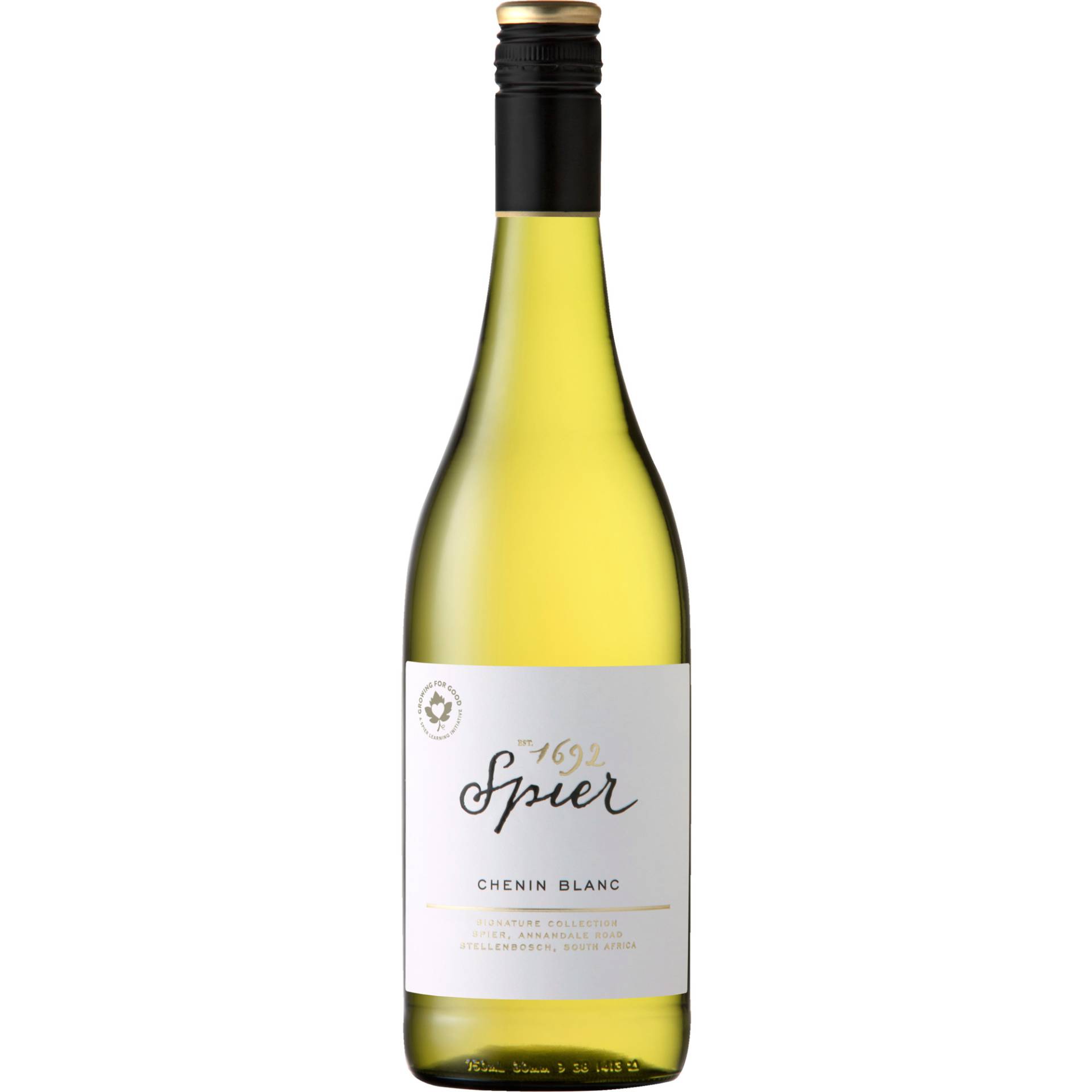 Spier Signature Collection Chenin Blanc, WO Western Cape, Western Cape, 2023, Weißwein von Hanseatisches Wein- und Sekt- Kontor Hawesko GmbH, Friesenweg 24, D-22763 Hamburg