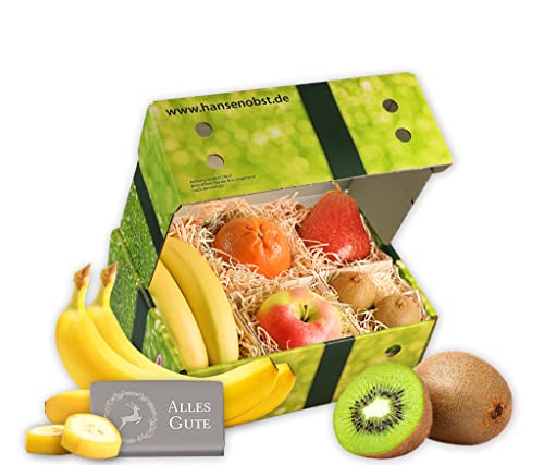 Hansen Obst | Obstbox "Bleib gesund" | Geschenkbox mit frischem Obst | "Die Moderne" von Hansen Obst