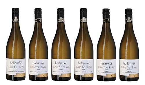 6x 0,75l - 2023er - Hattemer - Blanc de Blancs - Qualitätswein Rheinhessen - Deutschland - Weißwein trocken von Hattemer