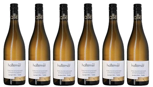 6x 0,75l - 2023er - Hattemer - Gau-Algesheimer Johannisberg - Sauviignon Blanc - Qualitätswein Rheinhessen - Deutschland - Weißwein trocken von Hattemer