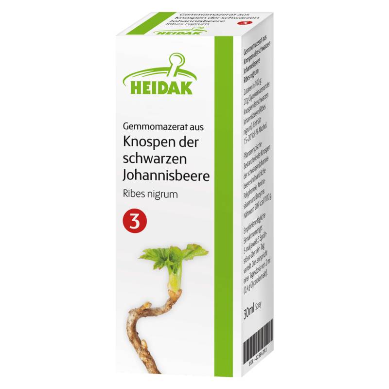 Gemmomazerat aus Knospen der schwarzen Johannisbeere von Heidak