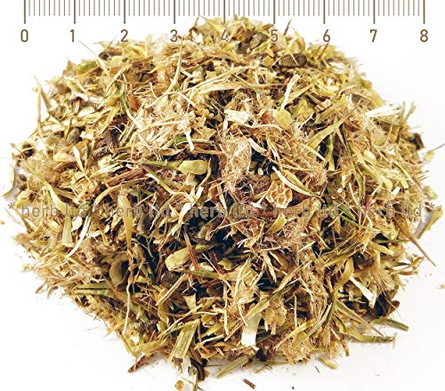 Eberwurzen Eselsdistel, Distel Blühende, Onopordum Acanthium, Kräuter Blüten von Herb Ltd