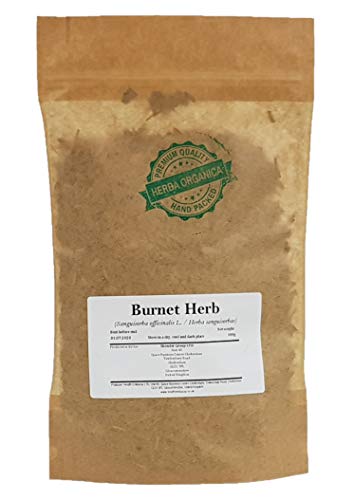 Großer Wiesenknopf Kraut / Sanguisorba Officinalis L / Burnet Herb # Herba Organica # Groß-Wiesenknopf (100g) von Herba Organica