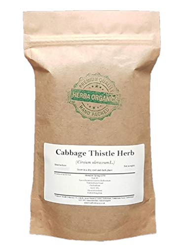 Herba Organica - Kohldistel Kraut - Cirsium oleraceum L - Cabbage Thistle Herb (50g) von Herba Organica