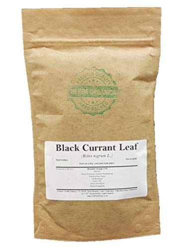 Herba Organica - Schwarze Johannisbeere Blatt - Ribes Nigrum L - Black Currant Leaf - Schwarze Ribisel (50g) von Herba Organica