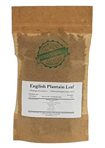 Spitzwegerich Blatt / Plantago Lanceolata L / English Plantain Leaf # Herba Organica # Spießkraut, Lungenblattl, Schlangenzunge (50g) von Herba Organica