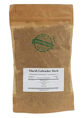 Sumpfporst Kraut / Rhododendron Tomentosum / Marsh Labrador Herb # Herba Organica # Ledum Palustre, Rosmarinkraut, Rosskraut (100g) von Herba Organica