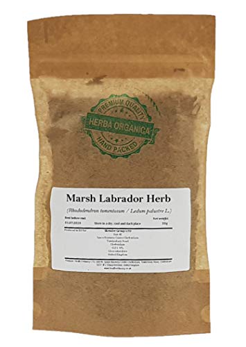 Sumpfporst Kraut / Rhododendron Tomentosum / Marsh Labrador Herb # Herba Organica # Ledum Palustre, Rosmarinkraut, Rosskraut (50g) von Herba Organica