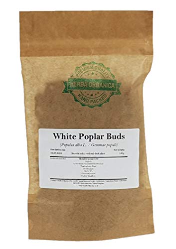 Weiße Pappelknospen / Populus Alba L / White Poplar Buds # Herba Organica # Silber-Pappel Knospen (100g) von Herba Organica