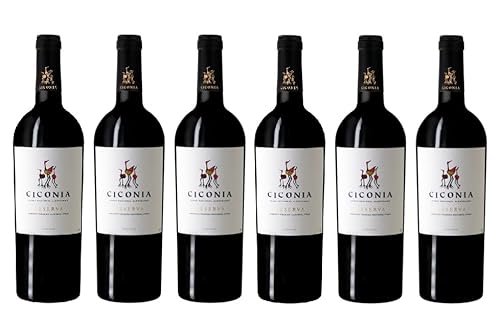 6x 0,75l - 2021er - Herdade de São Miguel - Ciconia - Reserva - Vinho Regional Alentejano - Portugal - Rotwein trocken von Herdade de São Miguel