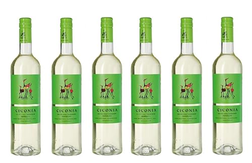 6x 0,75l - 2023er - Herdade de São Miguel - Ciconia - Branco - Vinho Regional Alentejano - Portugal - Weißwein trocken von Herdade de São Miguel