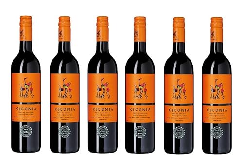 6x 0,75l - 2022er - Herdade de São Miguel - Ciconia - Tinto - Vinho Regional Alentejano - Portugal - Rotwein trocken von Herdade de São Miguel