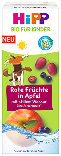 HiPP Bio für Kinder Getränk mit Trinkhalm, Rote Früchte in Apfel mit stillem Wasser, Tetrapak 200ml, 15er Pack (15x200ml) von HiPP