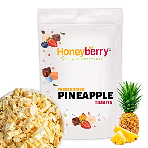 Gefriergetrocknete Ananas Große Stücke 100g - Gefriergetrocknete Früchte - Trockenfrüchte Gefriergetrocknet - Gefriergetrocknete Ananas Chips von Honeyberry