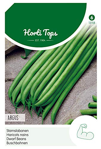 Hortitops 13158 Buschbohnen Argus (50 g) (Buschbohnensamen) von Hortitops