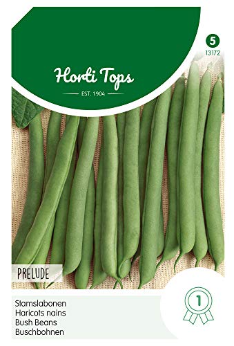 Hortitops 13172 Buschbohne Prelude (100 g) (Buschbohnensamen) von Hortitops