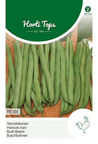 Hortitops 131725 Buschbohnen Prelude (25 g) (Buschbohnensamen) von Hortitops