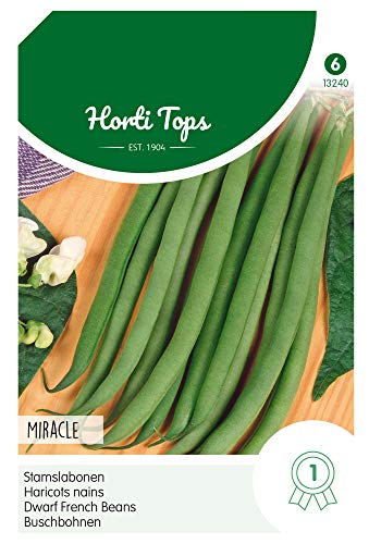 Hortitops 13240 Buschbohnen Miracle (100 g) (Buschbohnensamen) von Hortitops