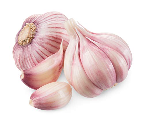 Hymor Violetter Knoblauch aus Las Pedroñeras Spanien - 12 Knollen - Lila Knoblauch Violet Garlic Ajo Morado Naturprodukt wertvolle Nährstoffe mediterran Kastilien-La Mancha von Hymor