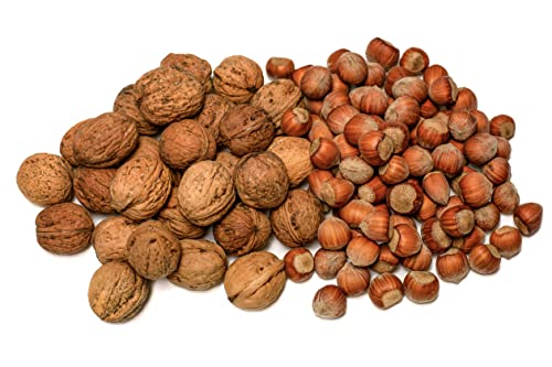 IGART Haselnüsse 10kg + Walnüsse 10kg in der Schale | MIX | Hazelnuts | Walnuts | Schmackhafte reif Walnüsse | Eco-Qualität | Ernte 2024 | Leckerbissen | Supernuss von Dttra