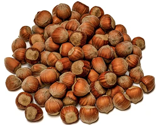 IGART Haselnüsse in der Schale 10kg (10000g) | Naturbelassene Hazelnuts | Perfekt für Müsli, Süßspeisen & Salate | Eco-Qualität | Frisch & Schmackhaft | Ernte 2024 | Rohkost, Gesund, Snack von IGART