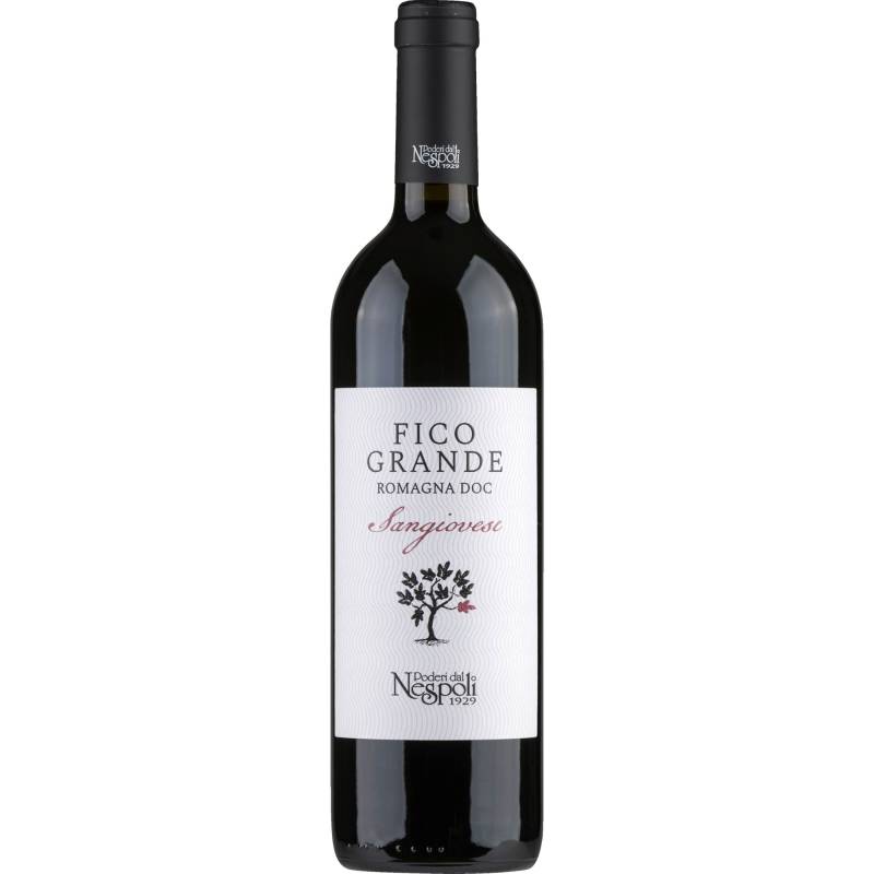 Poderi dal Nespoli Fico Grande Sangiovese, Romagna DOC, Emilia Romagna, 2023, Rotwein von IMBOTTIGLIATO DA PODERI DAL NESPOLI S.R.L. -  SOCIETÀ AGRICOLA - CIVITELLA DI ROMAGNA (FC)- ITALIA