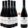 Iacovazzo  5+1 Paket Tramonto Rosso Primitivo Basilicata IGP von Iacovazzo