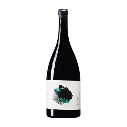 Ignios Orígenes Vendimia Seleccionada Listán Schwarz Ycoden-Daute-Isora Magnum-Flasche 1,5 L Rotwein von Ignios Orígenes