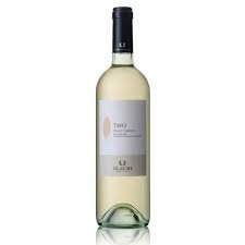 Ilauri "TAVO" Pinot Grigio IGT Delle Venezie von Ilauri