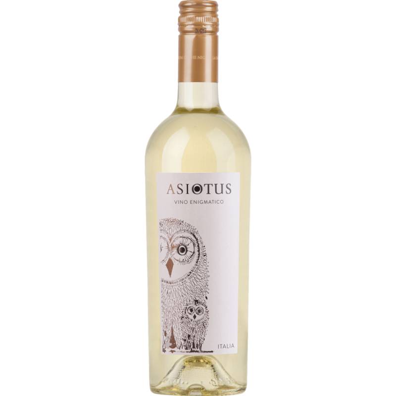 Asio Otus Bianco, Vino Varietale d'Italia, Vino da Tavola, Weißwein von Imbottigliato nelle Cantina di MGM S.P.A. a Priocca - Italia