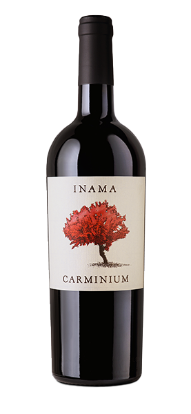 "Carminium" Carmenere Colli Berici DOC 2019 von Inama
