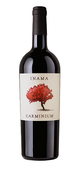 "Carminium" Carmenere Colli Berici DOC 2021 von Inama