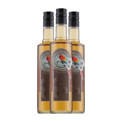 Rum Intense Falernum Medium Flasche 50 cl (Karton mit 3 Medium Flasche von 50 cl) von Intense Falernum