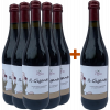 Iori Emanuele 2022 5+1 Paket Il Gigante Lambrusco Grasparossa di Castelvetro DOC von Iori Emanuele