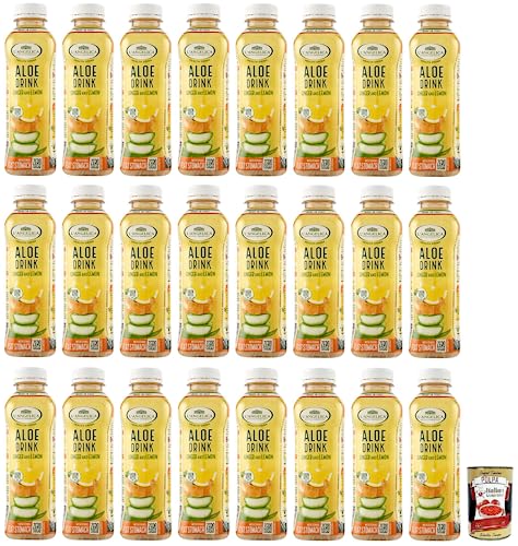 24x L' Angelica Health Drink Null Zucker Aloe Drink, Getränk auf Basis von Aloe Vera,mit Ingwer- und Zitronengeschmack,Einweg-PET-Flasche 500ml + Italian Gourmet Polpa di Pomodoro 400g Dose von Italian Gourmet E.R.