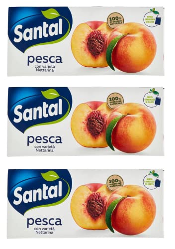 3x Parmalat Santàl Pesca Pfirsichsaft Fruchtsaft Erfrischungsgetränk Erfrischendes Getränk Brik 3x200ml von Italian Gourmet E.R.