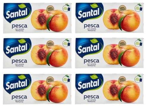 6x Parmalat Santàl Pesca Pfirsichsaft Fruchtsaft Erfrischungsgetränk Erfrischendes Getränk Brik 3x200ml von Italian Gourmet E.R.