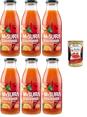 Misura Frutti & FioriArancia Zenzero e Fiori di Ibisco Orangen-Ingwer und Hibiskusblüten 6x500ml+ Italian Gourmet polpa 400g von Italian Gourmet E.R.