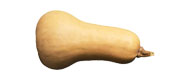 Kürbis Butternut (1 kg) von Deutschland