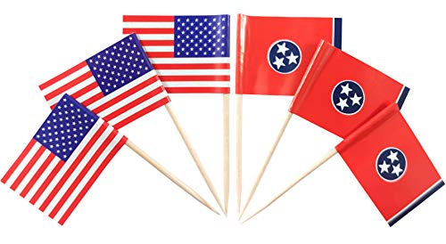 JBCD Tennessee Zahnstocher-Flagge, kleine Mini-Cupcake-Flaggen, 100 Stück USA und 100 Stück Tennessee von JBCD