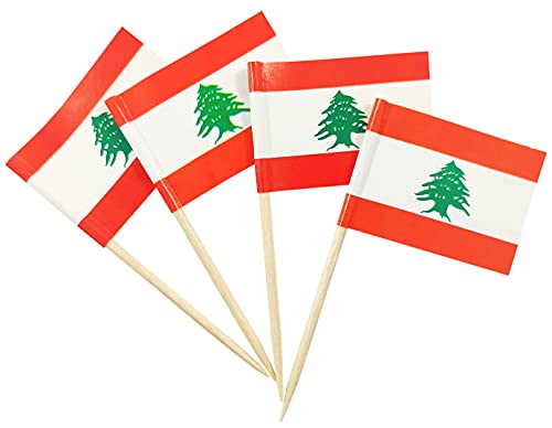 JBCD 200 Stück Libanon-Flagge Zahnstocher, libanesische Flaggen, Cupcake-Topper, Dekoration, Cocktail-Zahnstocher, Flagge, Kuchendekoration, Mini-Flagge, Cupcake-Picks von JBCD