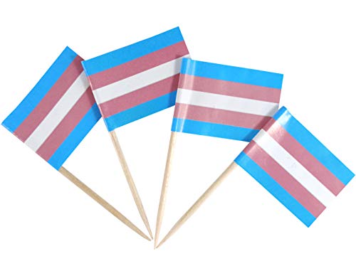 JBCD 200 Stück Regenbogen-Flaggen Cupcake-Topper (Transgender). von JBCD