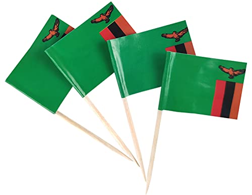 JBCD 200 Stück Zahnstocher mit Sambia-Flagge, Cupcake-Dekoration, Cocktail-Zahnstocher-Flagge, Sambianische Kuchendekoration, kleine Flagge, Cupcake-Picks von JBCD