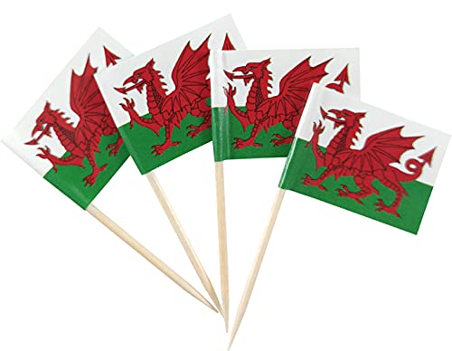 JBCD 200 Stück Zahnstocher mit Wales-Flagge, Cupcake-Dekoration, Cocktail-Zahnstocher, Flagge, Walisische Kuchendekoration von JBCD