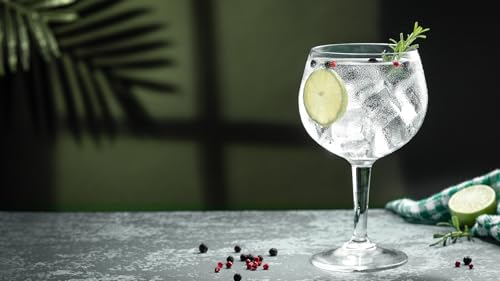 Jochen Schweizer Geschenkgutschein: Gin Tasting Düsseldorf (8 Premium Gins) von JOCHEN SCHWEIZER