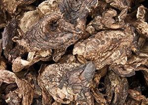 1 Pfund (454 gramm) Sarcodon Aspratus Getrocknete Pilz von Yunnan China 中国云南 von JOHNLEEMUSHROOM RESELLER