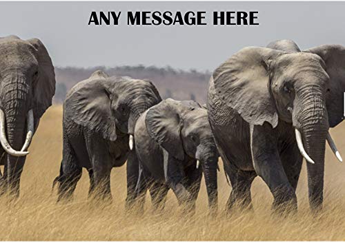 Family of African Elephants Savannah Kuchendekoration, A4, leicht abziehbar von JPS