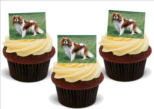 KING CHARLES SPANIEL HUND - 12 essbare hochwertige stehende Waffeln Kuchen Toppers - KING CHARLES SPANIEL DOG von JPS