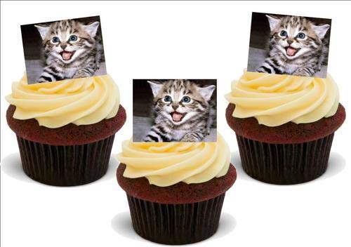 NIEDLICHER TIGER gestreiftes KÄTZCHEN - 12 essbare hochwertige stehende Waffeln Kuchen Toppers - CUTE TIGER STRIPED KITTEN von JPS